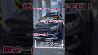 [新入荷] RAV4 アドベンチャー オフロードパッケージ