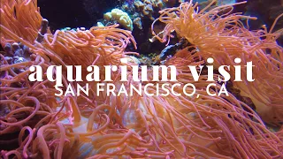 aquarium of the bay | san francisco, ca | november 2023