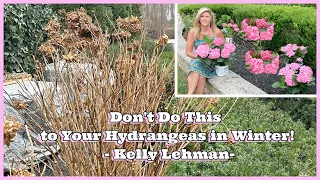 Don't Do This to Your Hydrangeas in Winter! - Tips from Kelly Lehman