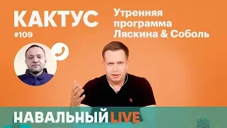 Кактус #109. На связи штабы Навального в Новосибирске, Красноярске, Самаре, Омске и Краснодаре