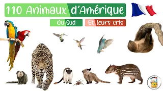 South American animals in French - Animal sounds - Animal cries