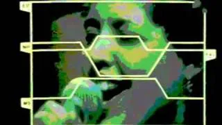 Poly Styrene and X-Ray Spex - I Am A Poseur