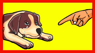 25 Stupid Things Dogs Hate and How to Avoid Them