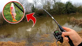 River Lure Fishing For Pike - Savage Gear 4D Trout