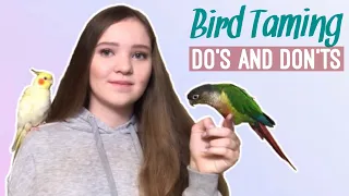 What NOT to Do When Training a Scared Bird and What to Do Instead! | How to Tame a Parrot