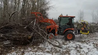 638 Grappling a Whole Lot of Bush! Homestead Root Grapple. Kubota LX2610 Compact Tractor.   4K