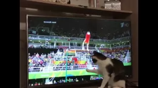 オリンピックが気になりすぎる猫