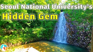 You HAVE to See This Beautiful Waterfall in the Middle of Seoul National University!