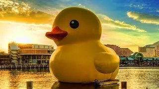 Bubberducky 2