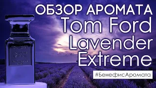 Обзор и отзывы об аромате Tom Ford Lavender Extreme от Духи.рф | Бенефис аромата