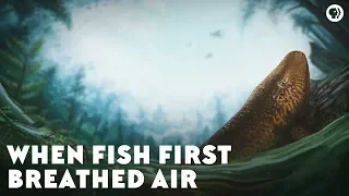 When Fish First Breathed Air