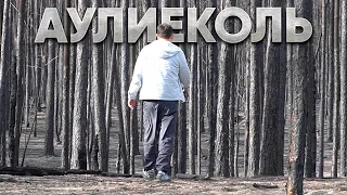 Аулиекольский район. Жизнь ДО и ПОСЛЕ пожаров.