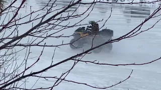 Вовчик красавчик 👍🤘🔥