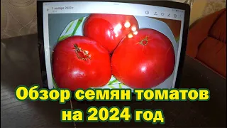 Обзор семян томатов от коллекционера на 2024 год. Часть 4