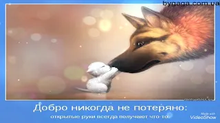 С Днем Доброты! Дарите всем ДОБРО...!!!!