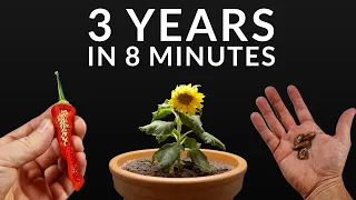 1210 Days in 8 Minutes - Plant Time-lapse Compilation