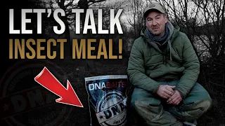 LET'S TALK INSECT MEAL! | DNA BAITS | CARP FISHING | FISHING BAIT | STEVE CARRIE