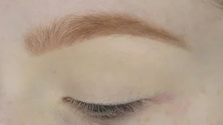 Updated Brow Routine for Redheads