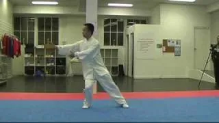 Tai Chi 85 Forms, Part 1 ~ Traditional Yang Style