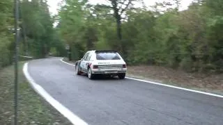 Rallylegend 2009 Peugeot 205 T16