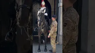 🚨 Guard asks army officer to check on horse!  #thekingsguard