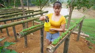 FULL VIDEO: Build Pig House, Technique Growing Vegetables In Bamboo Tubes - Free Bushcraft