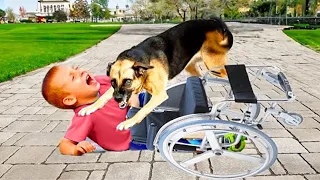 When Mom Saw What The Dog Did To Her Disabled Son, She SCREAMED!