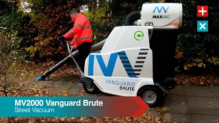 MV2000 Vanguard Brute - Leaves - Explainer