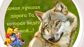 Самая лучшая дорога Та, которая ведет домой! Доброго пути!