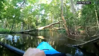 Alligator attacks North Carolina kayaker