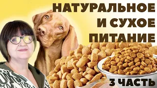 Сухое и натуральное питание. Как правильно кормить собаку сухим кормом?  - 3 Часть - Питание собаки.