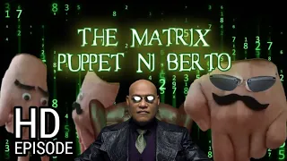 WHO ARE YOU | THE MATRIX