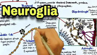 Neuroglia | Glial cells | Nervous system - pharmacology