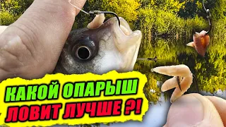 Какой ОПАРЫШ лучше – БЕЛЫЙ или КРАСНЫЙ?! Ароматизировать ОПАРЫША или НЕТ?! Эксперимент – День 1