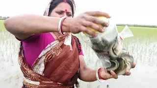 Fishing video||Smart Lady Make Fish Trap Using PVC And Plastic Bottle To Catch A Lot of Fish(part2)