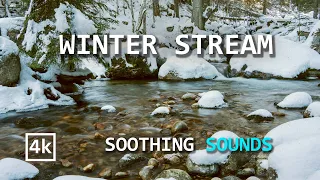 One Hour Winter Stream Soothing Sounds and Visuals