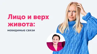 Лицо и верх живота: невидимые связи