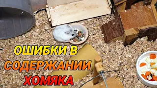 Ошибки в содержании хомяка. Сирийский и джунгарский хомяк