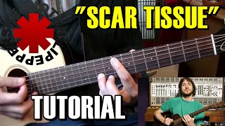 Como tocar "Scar tissue" de Red Hot Chili Peppers Tutorial Guitarra completo acordes arreglos y Solo