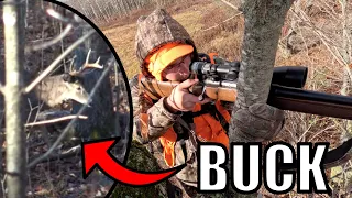 Opening Day New York Rifle Deer Hunting (BUCK DOWN!!)