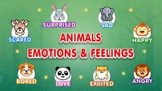 The Emotion Zoo: Animals Show Emotions and Feelings