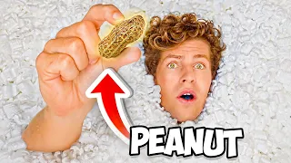 Find the REAL Peanut in 1,000,000 Packing Peanuts!