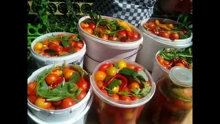 PICKLED TOMATOES with sugar for the winter salted.