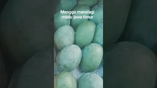 #mango#mangga#manalagi#jawa timur