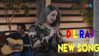 dilraj pashto song || dilraj pashto song 2023