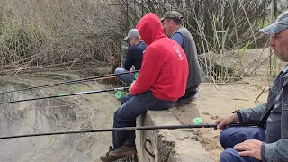 !!!РОЗРИВ!!! В БОЛОТО ЗБИВСЯ ВЕСЬ САЗАН, Вони пруть як танки, Вудки тріщать