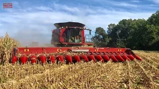 2019 Corn Harvest 16 Rows At a Time: Case IH 9240 Combine