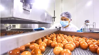 Amazing Korean Egg Harvesting & Processing Factory Using Modern Technology