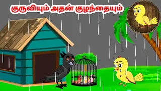 கோரி கார்ட்டூன் | Feel good stories in Tamil | Tamil moral stories | Beauty Birds stories Tamil
