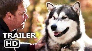 HERO DOG THE JOURNEY HOME Trailer (2021) Adventure Movie